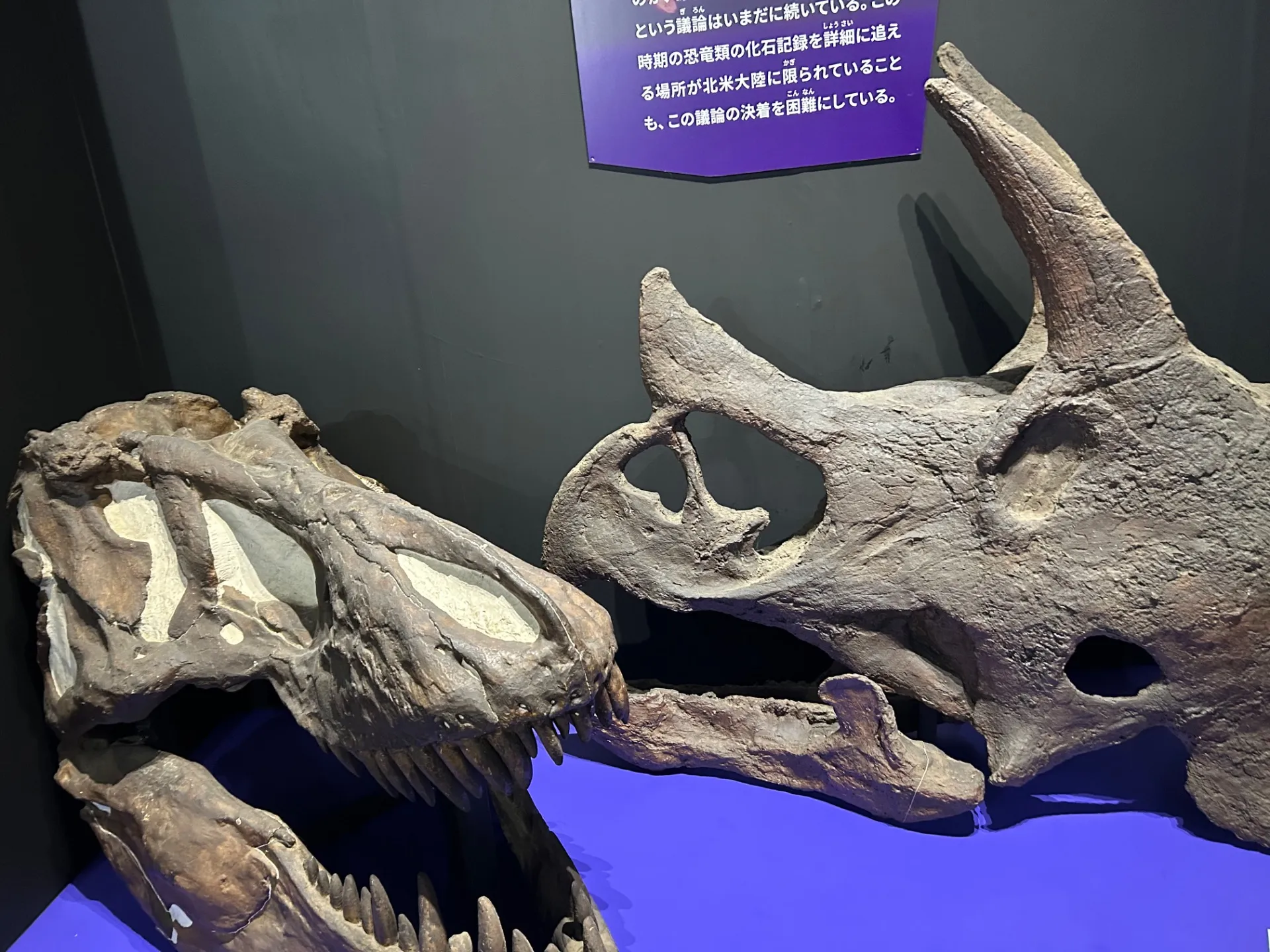 大絶滅展
