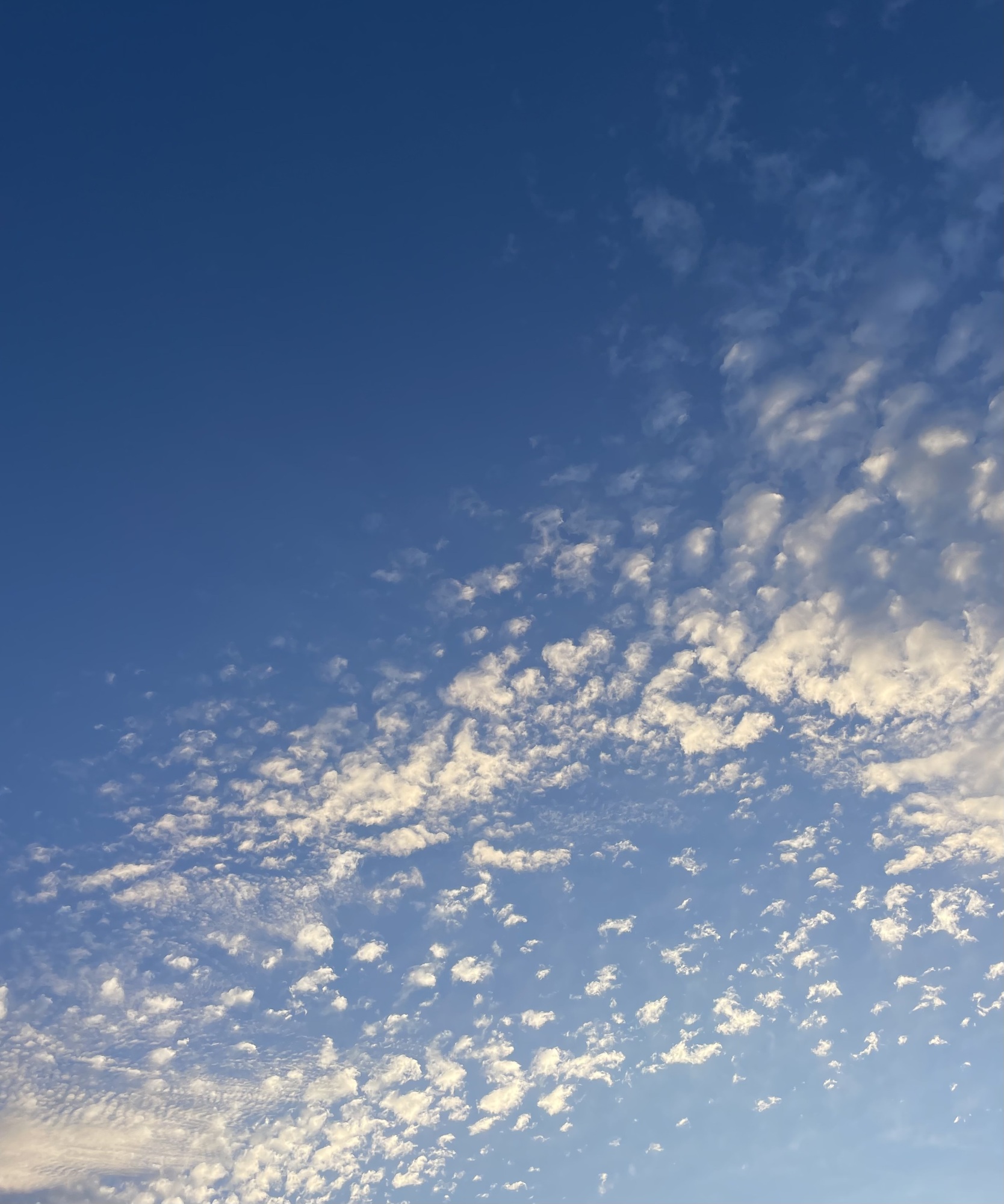 空☆